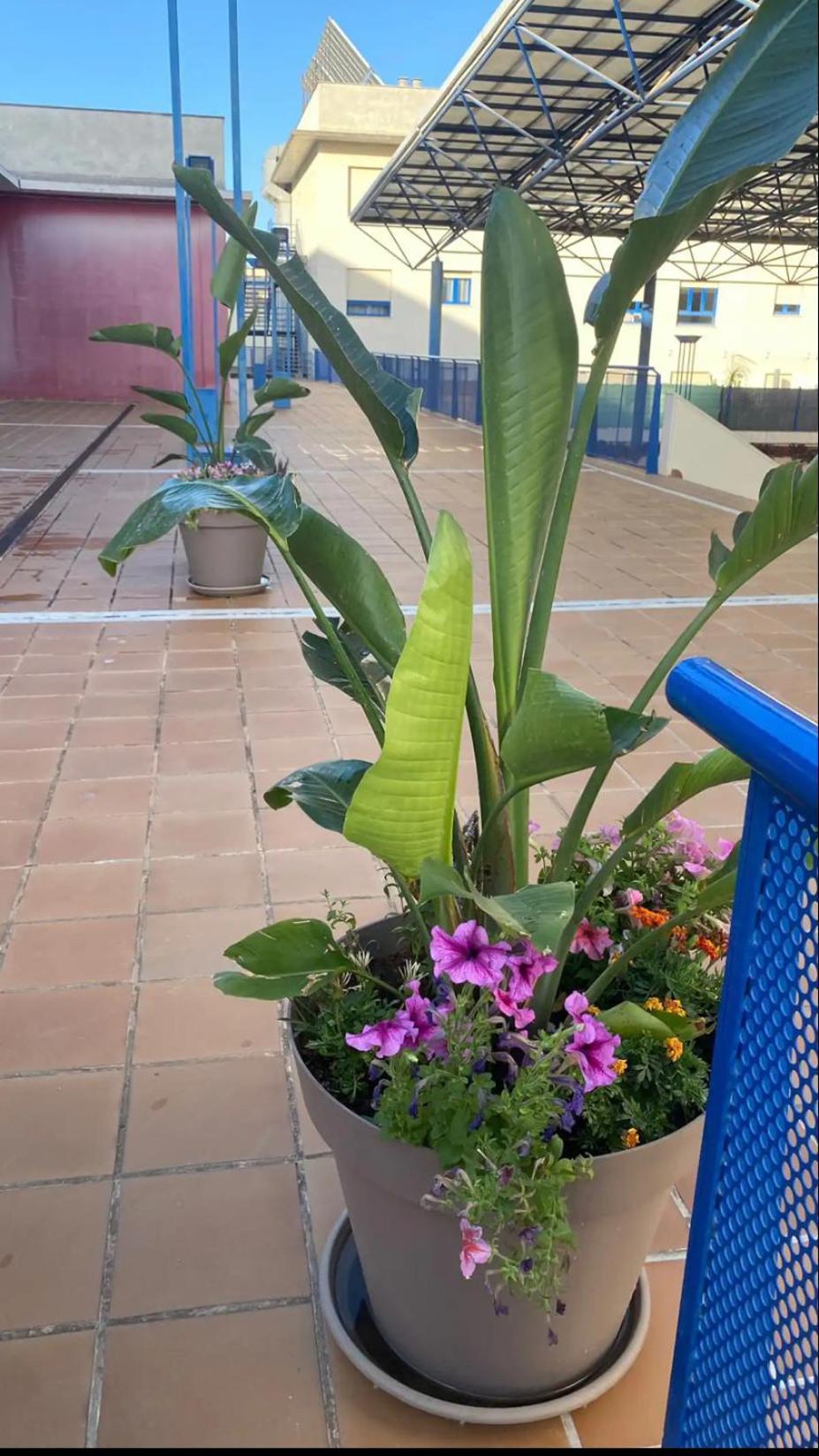 Appartement Aljalux Sevilla Bormujos